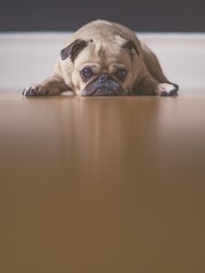 slider_hond-SHOWROOMEXAMPLEORIGINAL